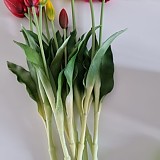 b29194b852e2c2d05165bbef2e3bd473_1747408108_1031.jpg