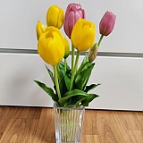 b29194b852e2c2d05165bbef2e3bd473_1747408147_1236.jpg