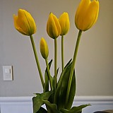 b29194b852e2c2d05165bbef2e3bd473_1747408174_5426.jpg