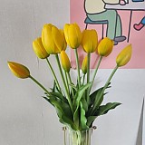 b29194b852e2c2d05165bbef2e3bd473_1747408234_7304.jpg