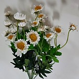 b29194b852e2c2d05165bbef2e3bd473_1747408295_9419.jpg