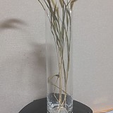 b29194b852e2c2d05165bbef2e3bd473_1747409195_0705.jpg