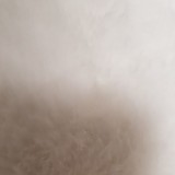b29194b852e2c2d05165bbef2e3bd473_1747427611_4082.jpg
