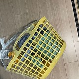 cf559f3c014bd7d7be7420e053147961_1747380318_1268.jpg