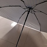 cf559f3c014bd7d7be7420e053147961_1747392312_6101.jpg