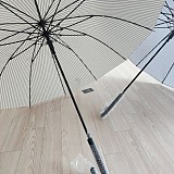 cf559f3c014bd7d7be7420e053147961_1747392836_341.jpg