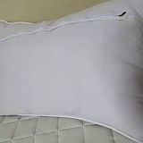 f7e596e2cea4dd94f45cb2acadfc9335_1747687549_3547.jpg