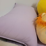 f7e596e2cea4dd94f45cb2acadfc9335_1747689371_5765.jpg