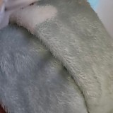 f7e596e2cea4dd94f45cb2acadfc9335_1747692654_992.jpg