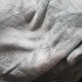 f7e596e2cea4dd94f45cb2acadfc9335_1747692868_5431.jpg