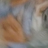 f7e596e2cea4dd94f45cb2acadfc9335_1747696700_0874.jpg