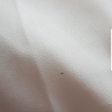 f7e596e2cea4dd94f45cb2acadfc9335_1747702217_3667.jpg