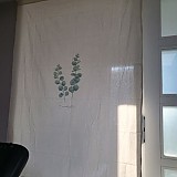 f7e596e2cea4dd94f45cb2acadfc9335_1747702761_1685.jpg