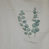 f7e596e2cea4dd94f45cb2acadfc9335_1747702856_593.jpg