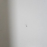 f93c87d6b5667ba5051a153edf90c144_1747748123_6637.jpg