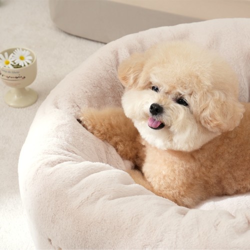 WOW 펫본) 보들보들 원형방석 아이보리 L_PT0824024