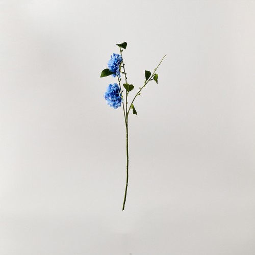 카멜리아 69cm_블루_FV_AF0124017