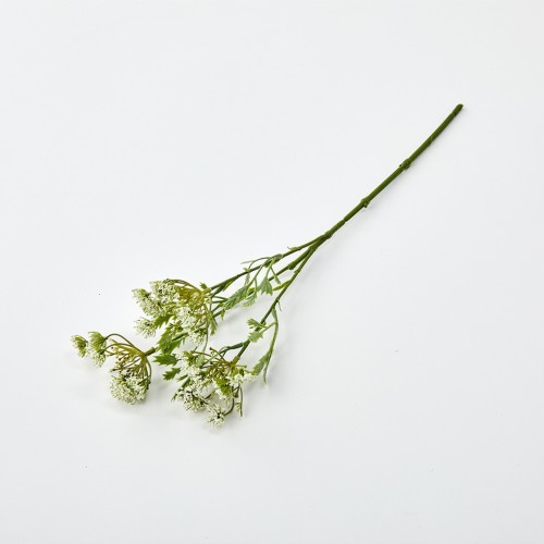 퀸앤레이스스프레이 48cm 크림_AF0123016