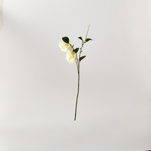 카멜리아 69cm_크림_FV_AF0124015