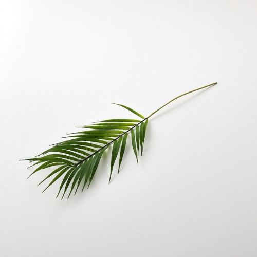 펀 리프 64cm_AF0124038