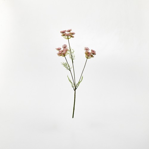 퀸앤레이스 50cm_핑크_FV_AF0124008