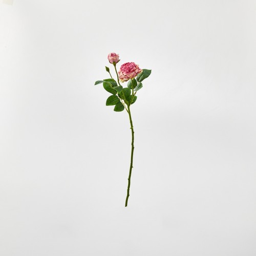 로즈 53cm_퍼플_FV_AF0124002