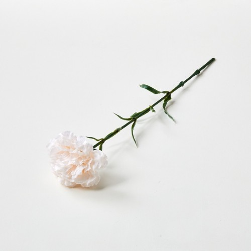 카네이션 50cm_페일핑크_AF0125011
