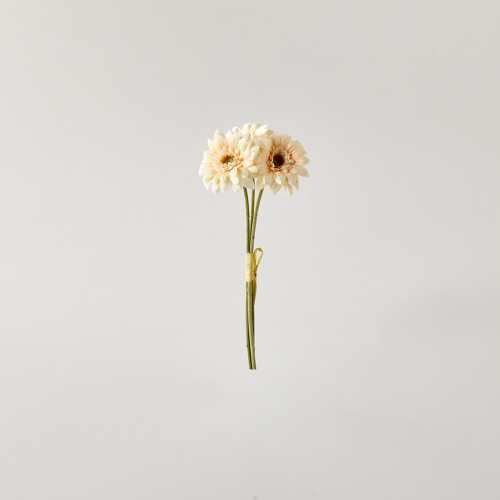 미니 거베라 부쉬 27.5cm_크림_FV_AF0124018