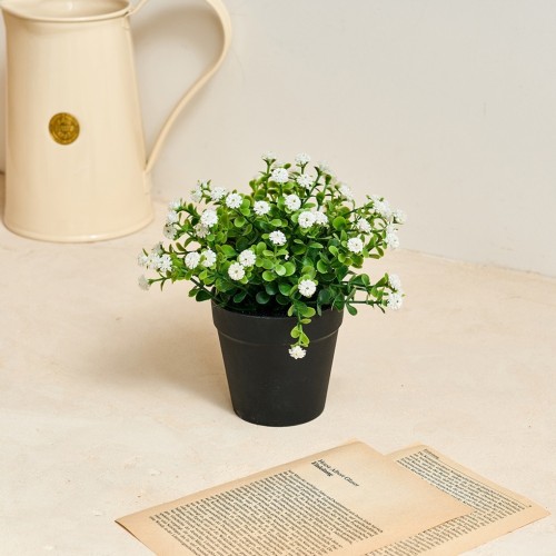 안개꽃 식재화분 15cm_화이트_AF0225024