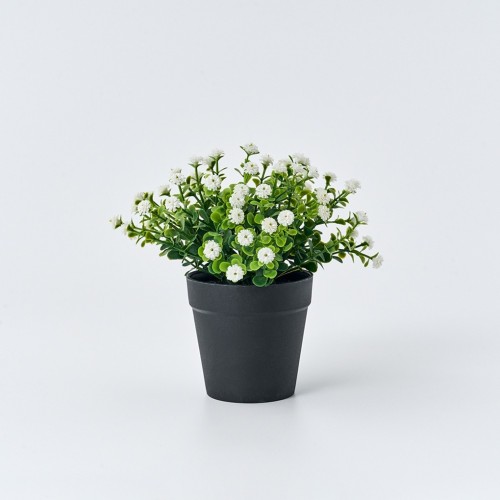 안개꽃 식재화분 15cm_화이트_AF0225024
