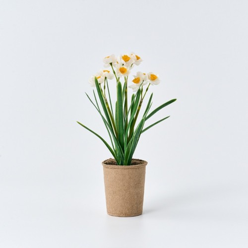 수선화 식재화분 27cm_화이트_AF0225029