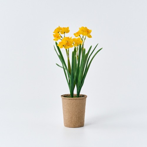 수선화 식재화분 27cm_옐로우_AF0225030