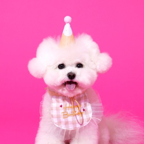 펫본) 해피파티 생일 턱받이모자세트 베이지_PT0624002
