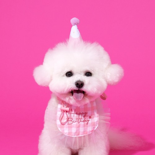 펫본) 해피파티 생일 턱받이모자세트 핑크_PT0624001
