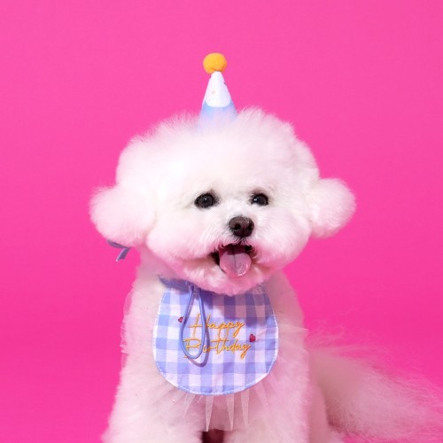 펫본) 해피파티 생일 턱받이모자세트 블루_PT0624003