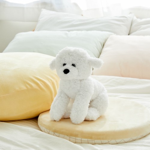 포근포근 베베비숑_PY0825008
